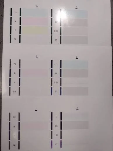 Photographed printer output with pale washed-out color blocks